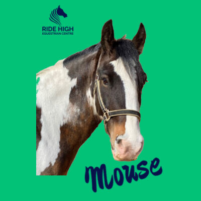 RIDE HIGH PONIES - KIDS TEE - RH Copy of SOFTSTYLE™ youth  ringspun t-shirt. Design