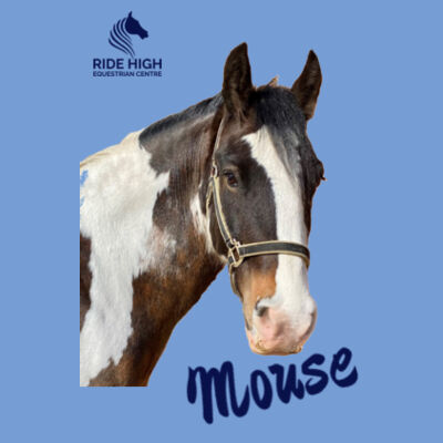 RIDE HIGH PONIES - ADULT TEE - RH Copy of SOFTSTYLE™ adult ringspun t-shirt. Design