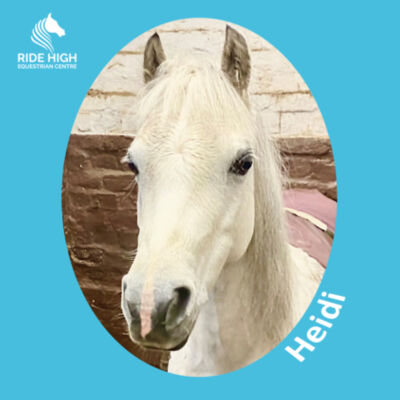 RIDE HIGH PONIES - KIDS T - RH Copy of AWDIS sweatshirt. Design