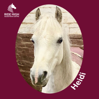 RIDE HIGH PONIES - KIDS T - RH Copy of AWDIS Kids Sweat. Design