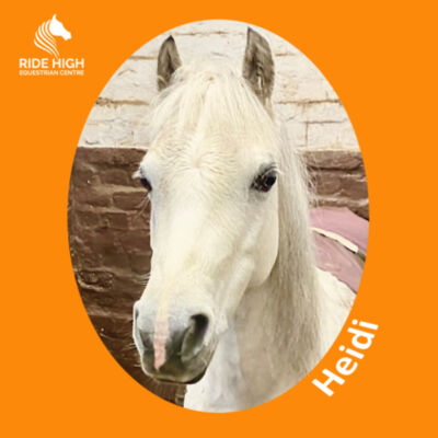 RIDE HIGH PONIES - KIDS T - RH Copy of ADWIS Kids hoodie. Design