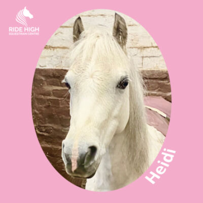 RIDE HIGH PONIES - KIDS T - RH Copy of PROMO shoulder tote. Design