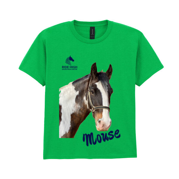 RIDE HIGH PONIES - KIDS TEE - RH Copy of SOFTSTYLE™ youth  ringspun t-shirt. Thumbnail
