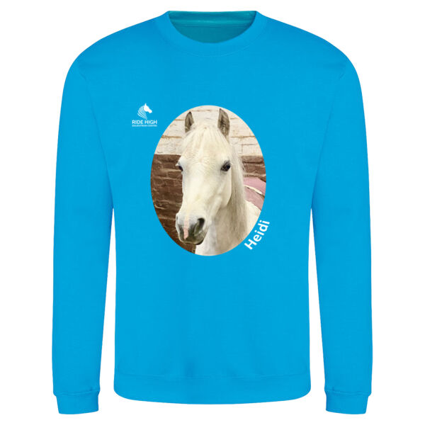 RIDE HIGH PONIES - KIDS T - RH Copy of AWDIS sweatshirt. Thumbnail