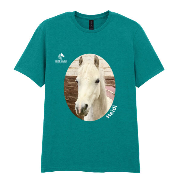 RIDE HIGH PONIES - KIDS T - RH Copy of SOFTSTYLE™ adult ringspun t-shirt. Thumbnail